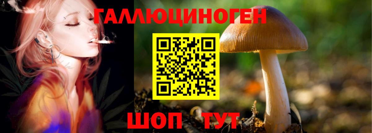 Галлюциногенные грибы Cubensis Ковров